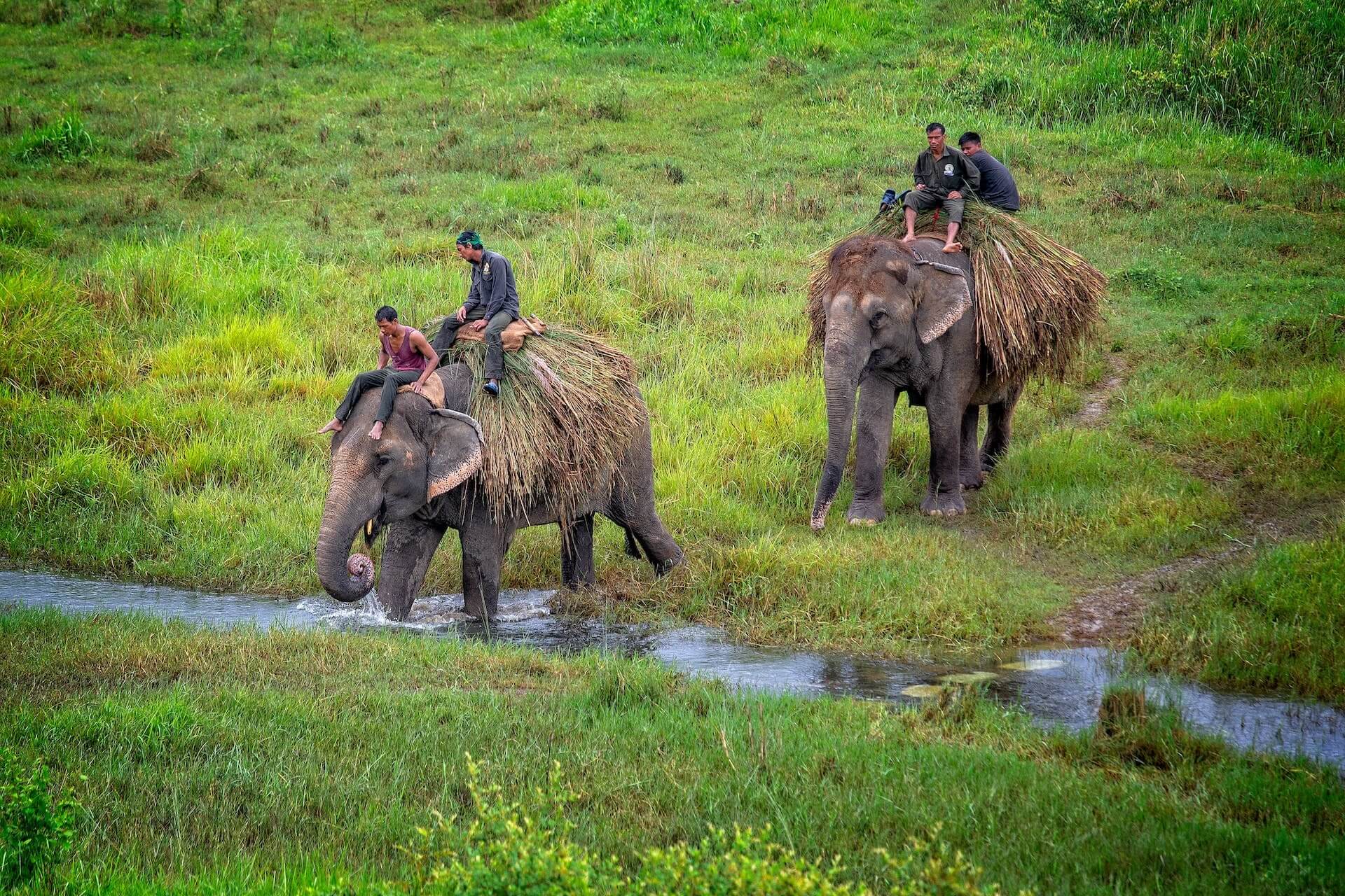 chitwan-3-min